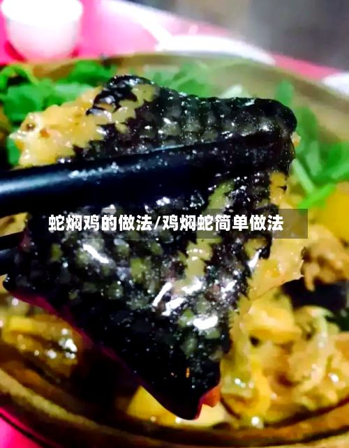 蛇焖鸡的做法/鸡焖蛇简单做法