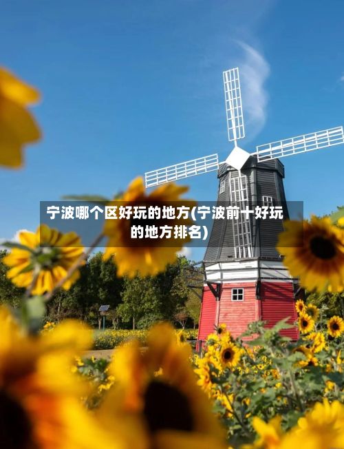 宁波哪个区好玩的地方(宁波前十好玩的地方排名)