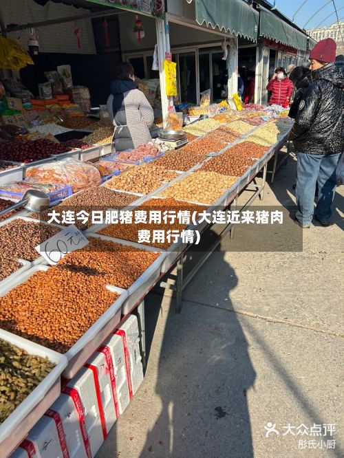 大连今日肥猪费用行情(大连近来猪肉费用行情)