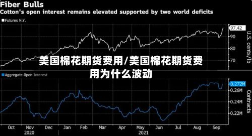 美国棉花期货费用/美国棉花期货费用为什么波动-第2张图片