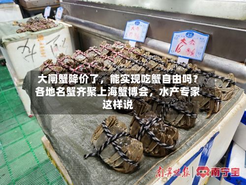 大闸蟹降价了，能实现吃蟹自由吗？各地名蟹齐聚上海蟹博会，水产专家这样说-第2张图片