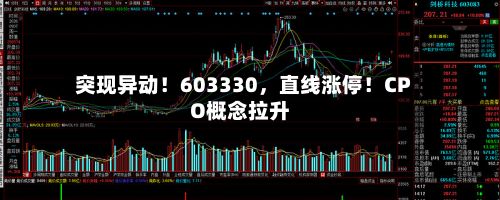 突现异动！603330，直线涨停！CPO概念拉升