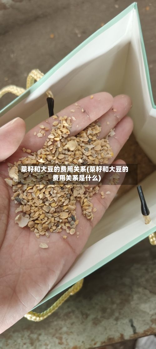 菜籽和大豆的费用关系(菜籽和大豆的费用关系是什么)
