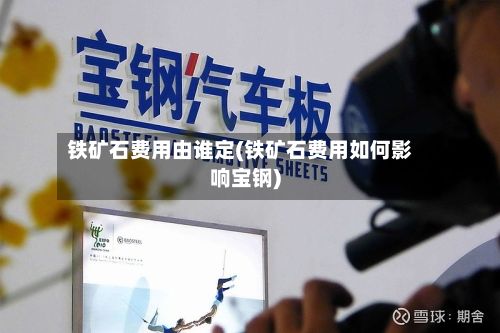 铁矿石费用由谁定(铁矿石费用如何影响宝钢)