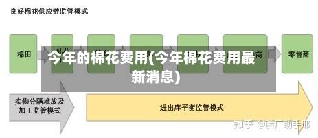 今年的棉花费用(今年棉花费用最新消息)