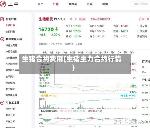 生猪合约费用(生猪主力合约行情)-第3张图片