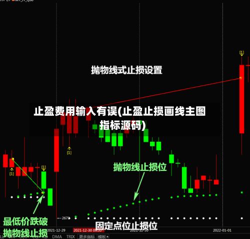 止盈费用输入有误(止盈止损画线主图指标源码)