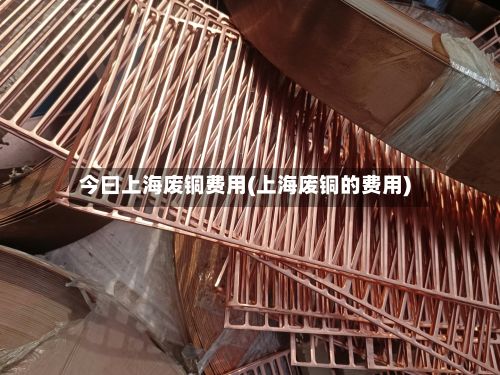 今曰上海废铜费用(上海废铜的费用)-第3张图片