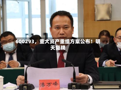 600293，重大资产重组方案公布！明天复牌-第2张图片