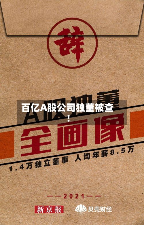 百亿A股公司独董被查！-第2张图片