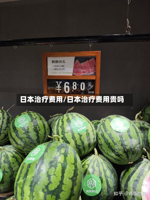 日本治疗费用/日本治疗费用贵吗-第2张图片