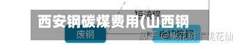 西安钢碳煤费用(山西钢煤一吨的费用表)-第3张图片