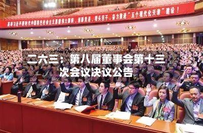 二六三：第八届董事会第十三次会议决议公告