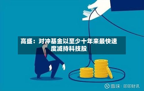 高盛：对冲基金以至少十年来最快速度减持科技股-第2张图片