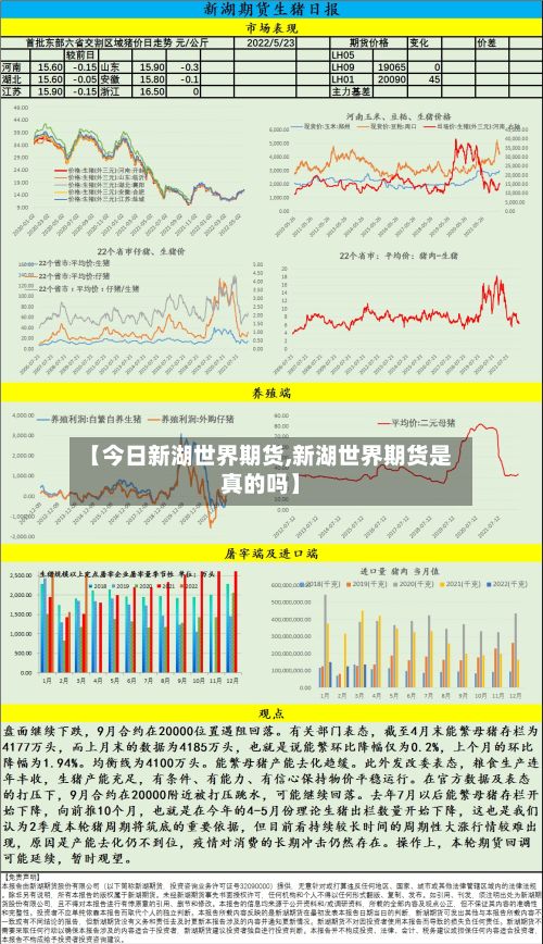 【今日新湖世界期货,新湖世界期货是真的吗】-第3张图片