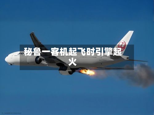 秘鲁一客机起飞时引擎起火
