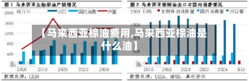 【马来西亚棕油费用,马来西亚棕油是什么油】-第2张图片