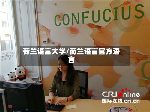 荷兰语言大学/荷兰语言官方语言-第2张图片