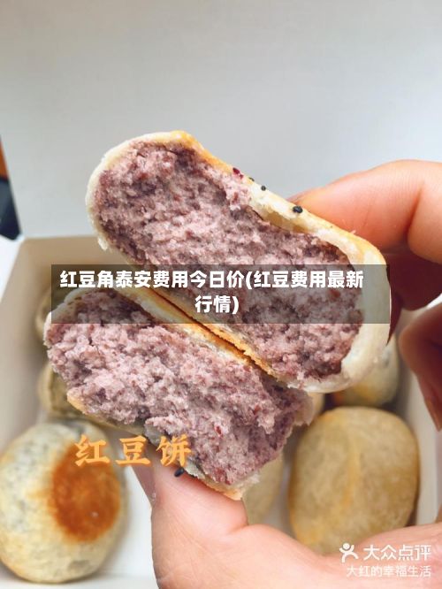 红豆角泰安费用今日价(红豆费用最新行情)
