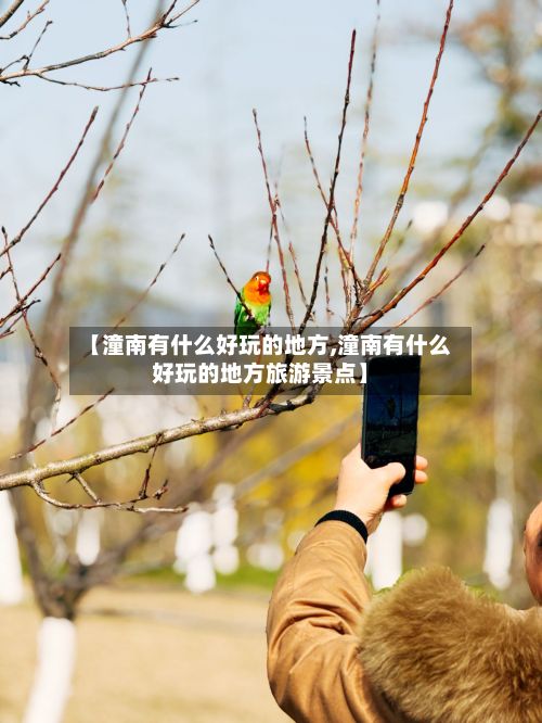 【潼南有什么好玩的地方,潼南有什么好玩的地方旅游景点】