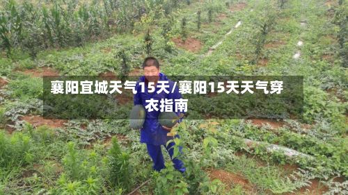 襄阳宜城天气15天/襄阳15天天气穿衣指南-第2张图片