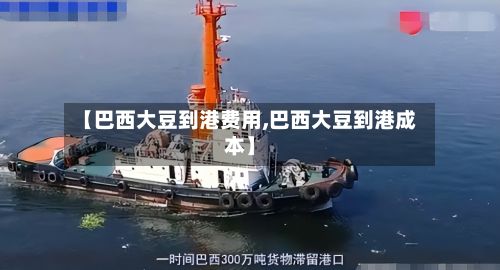 【巴西大豆到港费用,巴西大豆到港成本】-第2张图片