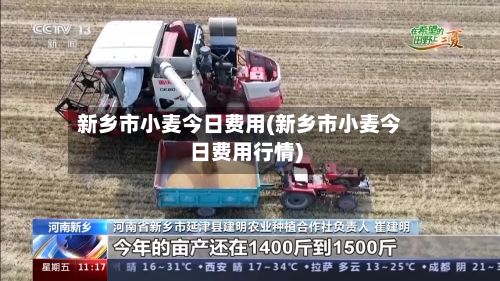 新乡市小麦今日费用(新乡市小麦今日费用行情)-第2张图片