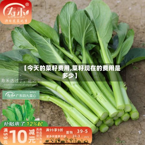 【今天的菜籽费用,菜籽现在的费用是多少】
