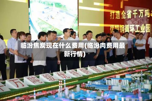 临汾焦炭现在什么费用(临汾肉费用最新行情)-第3张图片