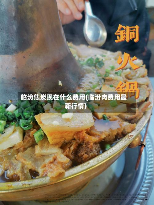 临汾焦炭现在什么费用(临汾肉费用最新行情)-第2张图片