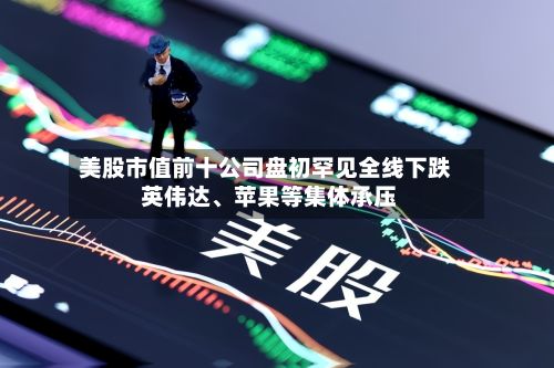 美股市值前十公司盘初罕见全线下跌 英伟达、苹果等集体承压