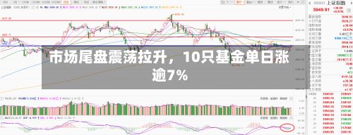 市场尾盘震荡拉升，10只基金单日涨逾7%-第3张图片