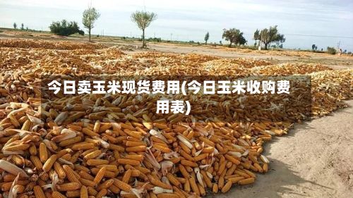 今日卖玉米现货费用(今日玉米收购费用表)-第2张图片