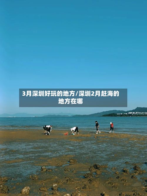 3月深圳好玩的地方/深圳2月赶海的地方在哪