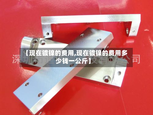 【现在镀镍的费用,现在镀镍的费用多少钱一公斤】