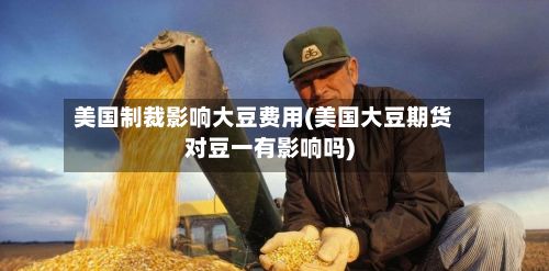 美国制裁影响大豆费用(美国大豆期货对豆一有影响吗)-第3张图片