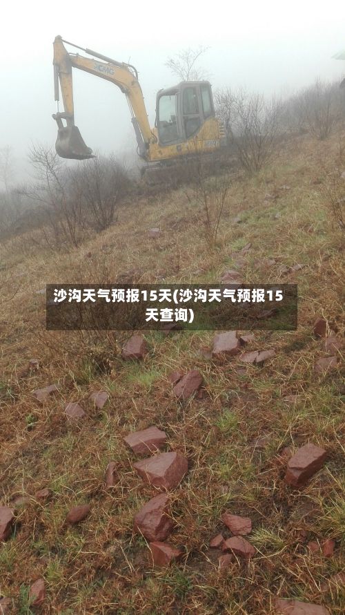 沙沟天气预报15天(沙沟天气预报15天查询)-第3张图片