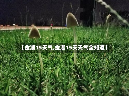 【金湖15天气,金湖15天天气全知道】-第2张图片