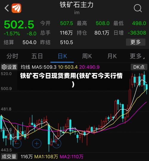 铁矿石今日现货费用(铁矿石今天行情)