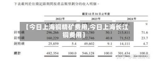 【今日上海铜精矿费用,今日上海长江铜费用】-第3张图片