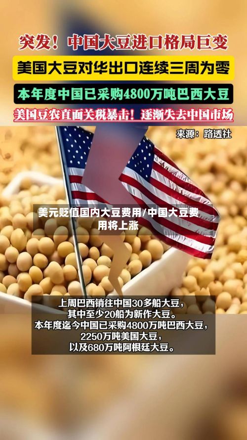 美元贬值国内大豆费用/中国大豆费用将上涨