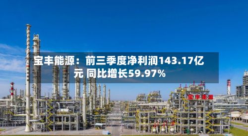 宝丰能源：前三季度净利润143.17亿元 同比增长59.97%