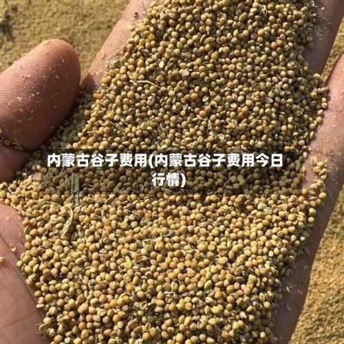 内蒙古谷子费用(内蒙古谷子费用今日行情)-第2张图片