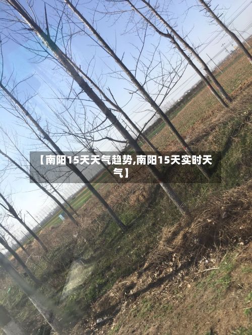 【南阳15天天气趋势,南阳15天实时天气】