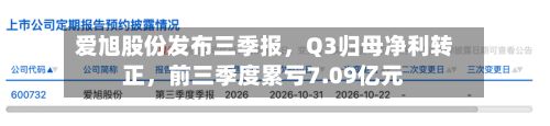 爱旭股份发布三季报，Q3归母净利转正，前三季度累亏7.09亿元-第2张图片