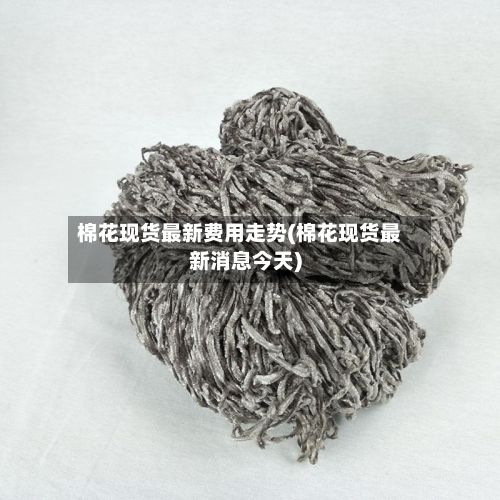棉花现货最新费用走势(棉花现货最新消息今天)