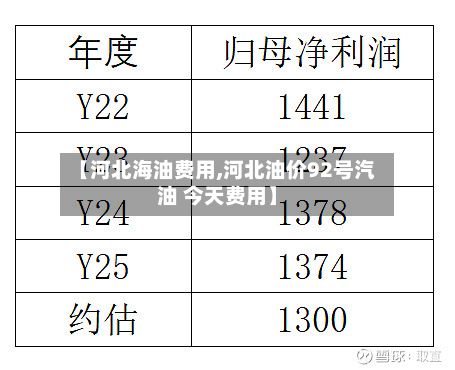 【河北海油费用,河北油价92号汽油 今天费用】