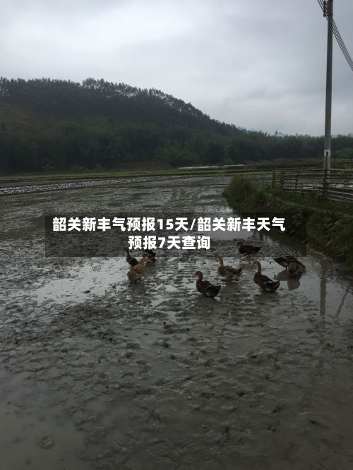 韶关新丰气预报15天/韶关新丰天气预报7天查询