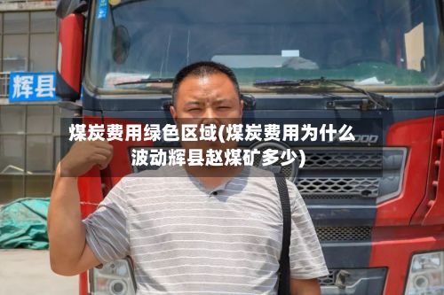 煤炭费用绿色区域(煤炭费用为什么波动辉县赵煤矿多少)