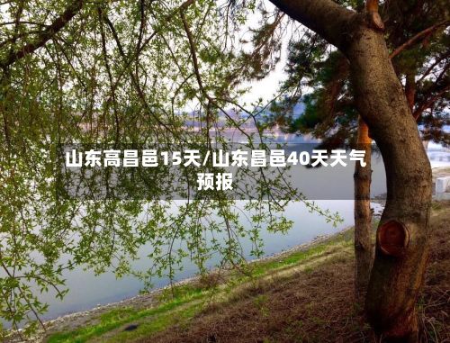 山东高昌邑15天/山东昌邑40天天气预报-第2张图片
